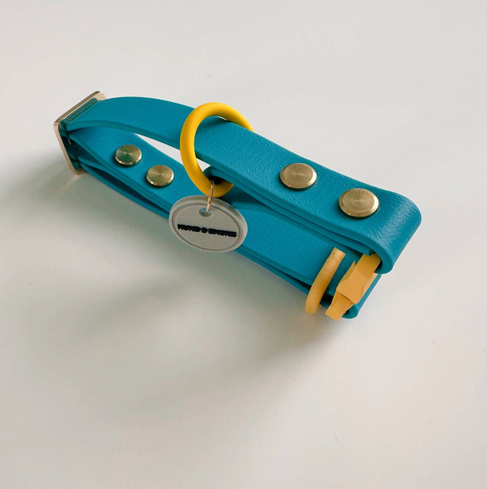 WATERPROOF DOG COLLAR - ROVER SPLASH - SUNNY SWELLS
