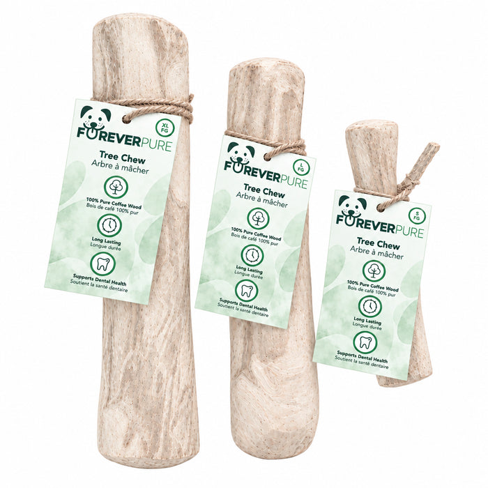 Tree Chew Coffee Wood