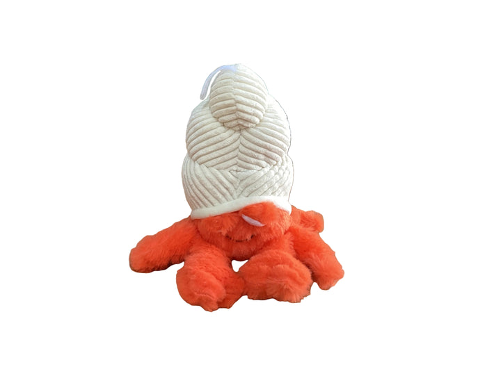 coral reefers hermit crab