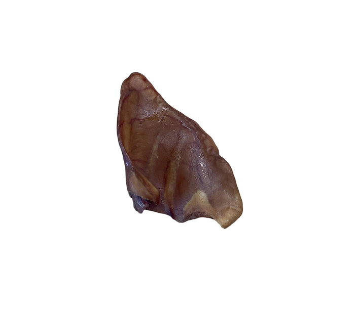pig ear