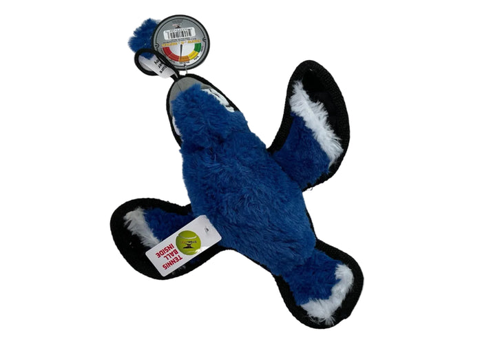 blue jay