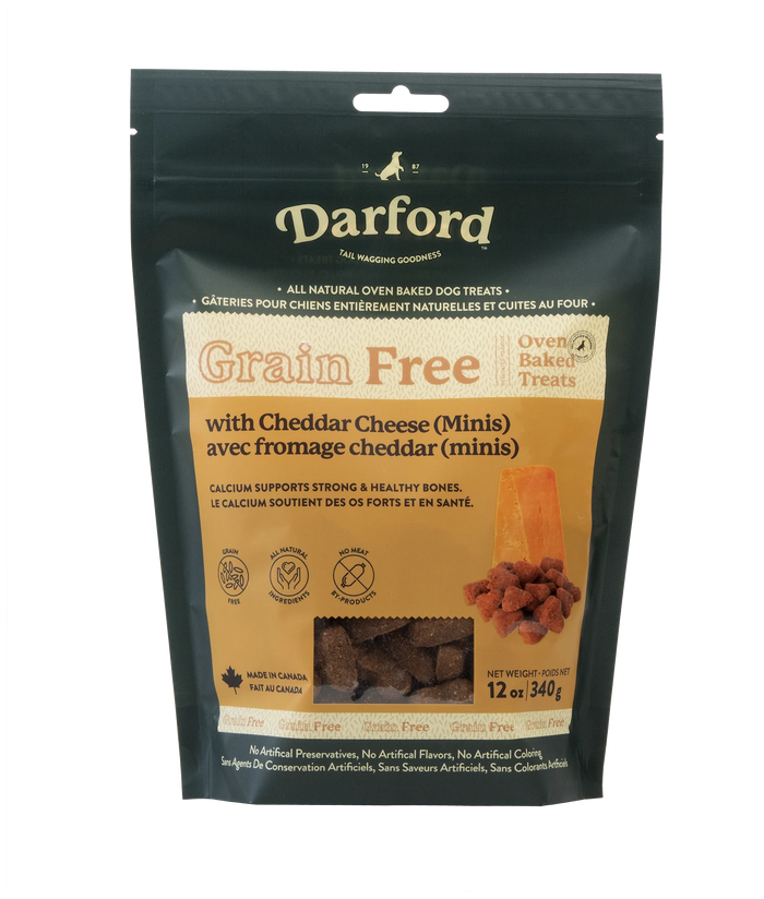 cheddar dog treat