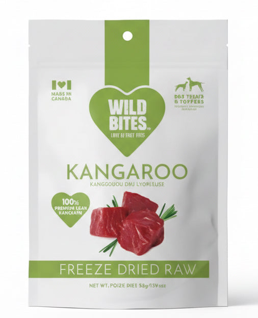 kangaroo
