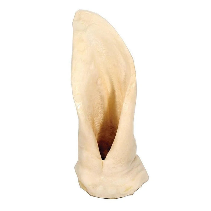 Lamb ears