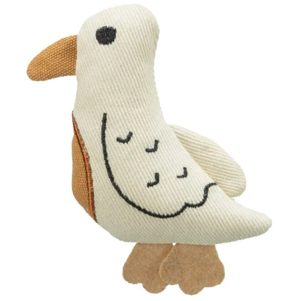 seagull bird