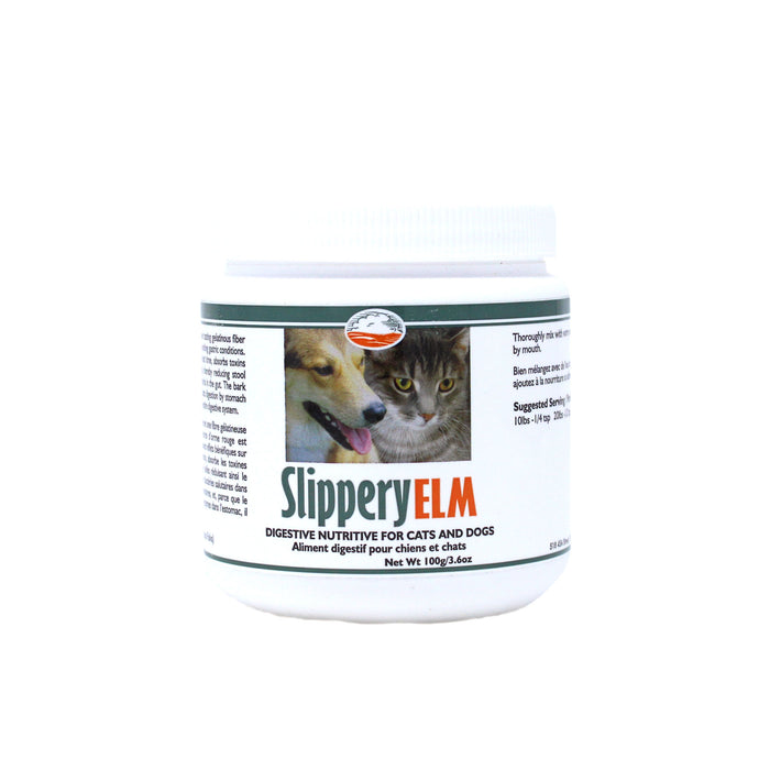 slipper elm