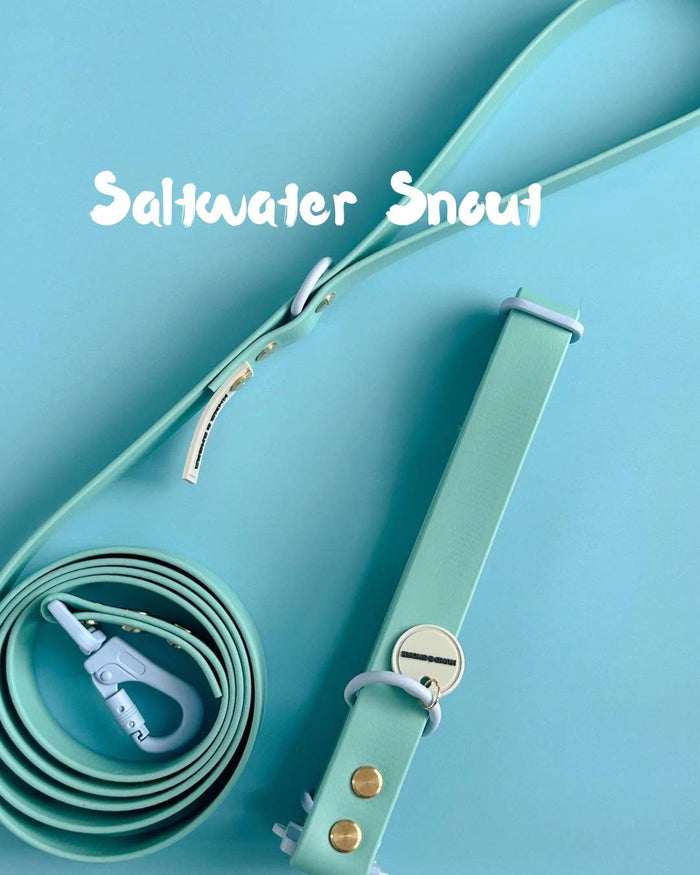 WATERPROOF DOG LEASH - ROVER SPLASH - SALTWATER SNOUT