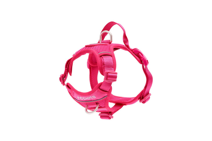 RC Pets Momentum Control Harness in Azalea