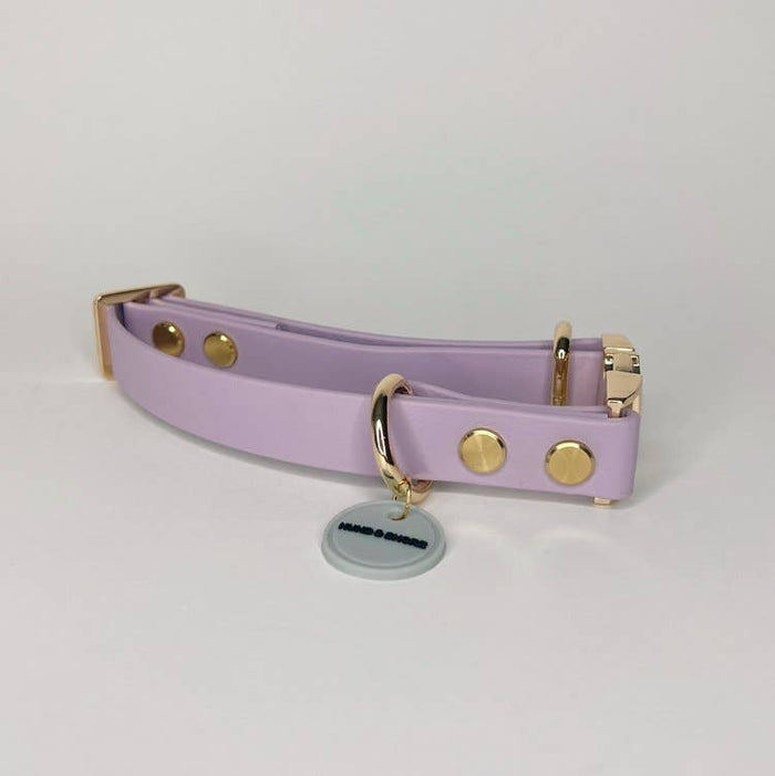 WATERPROOF DOG COLLAR - GOLDEN LAVENDER