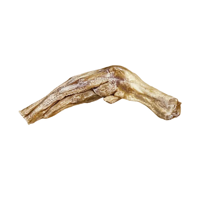 Duck Feet