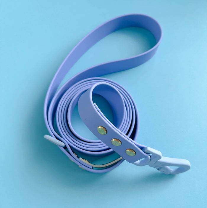 WATERPROOF DOG LEASH - ROVER SPLASH - SPLASHBERRY