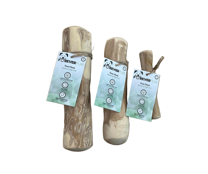 Tree Chew Coffee Wood