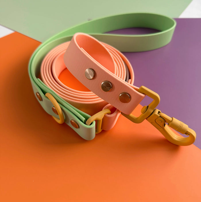 BIOTHANE® WATERPROOF DOG LEASH - FLORA - GARDEN BOUND