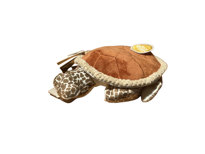 sea turtle