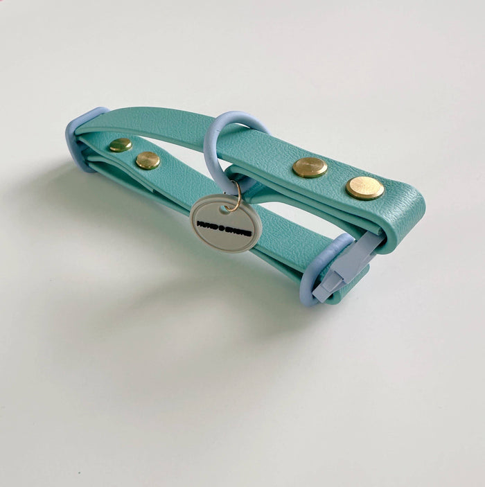 WATERPROOF DOG COLLAR - ROVER SPLASH - SALTWATER SNOUT