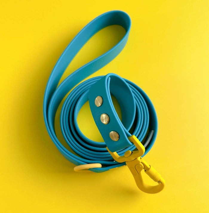 WATERPROOF DOG LEASH - ROVER SPLASH - SUNNY SWELLS