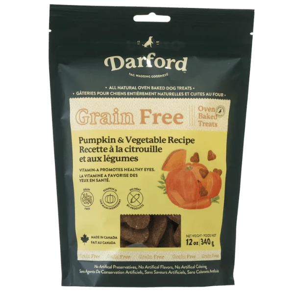 pumpkin dog treat