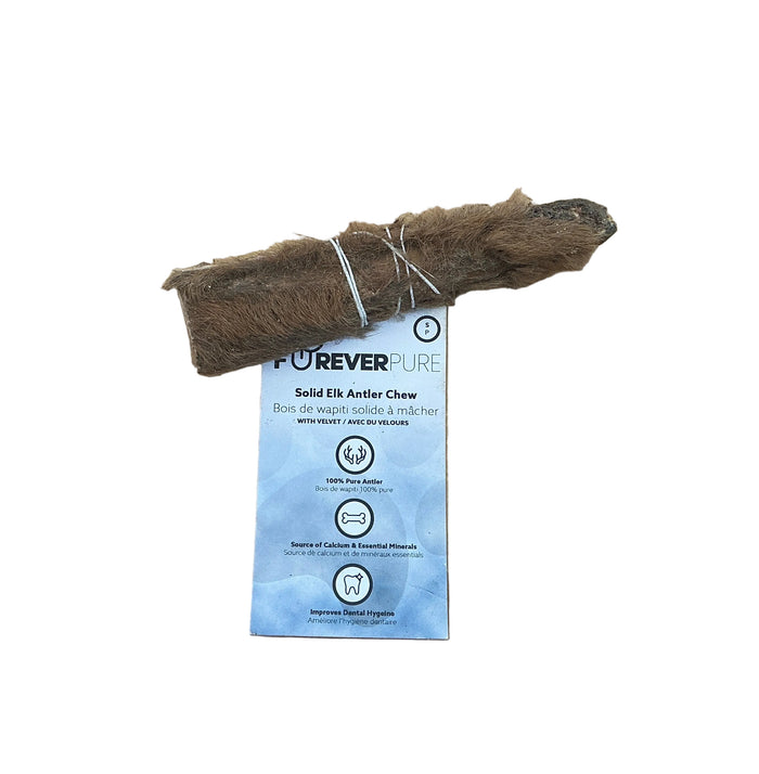 Solid Elk Antler small