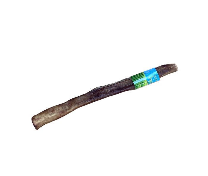Big dog 12" bully stick