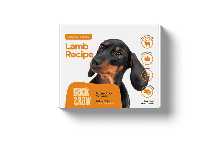 complete lamb recipe