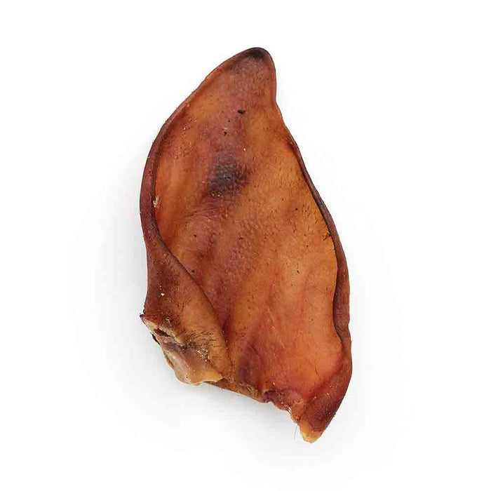 pig ear