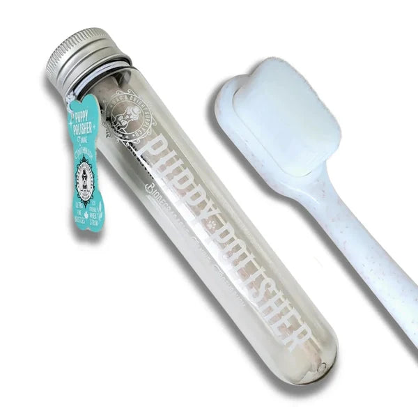 Puppy Polisher Toothbrush m/l