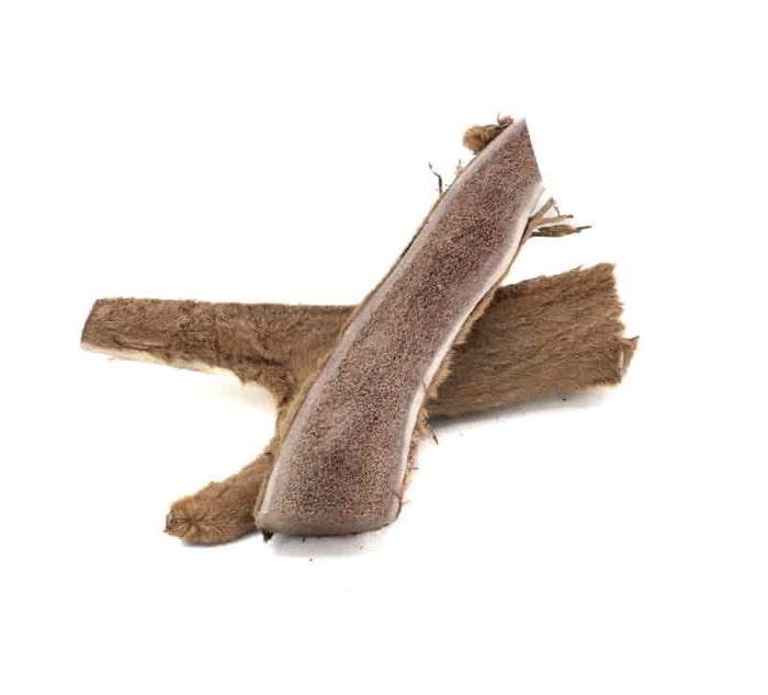 Solid Elk Antler small