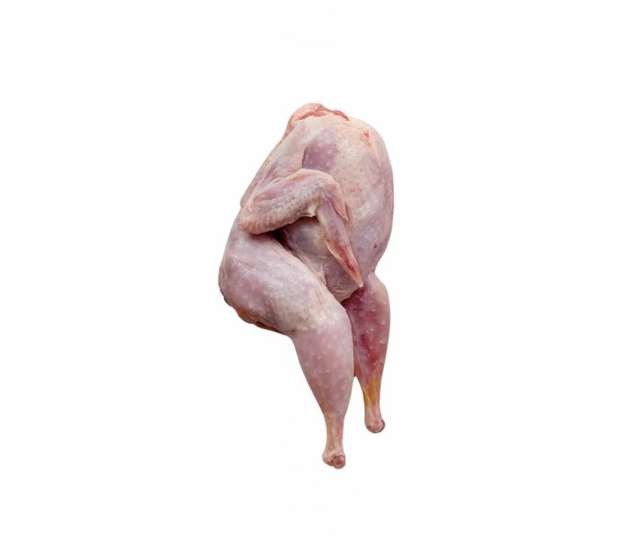whole quail single