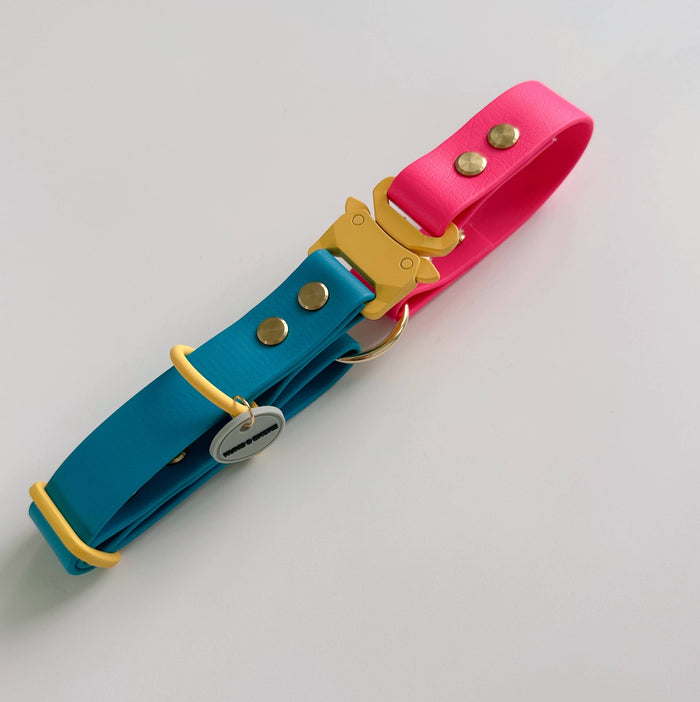 WATERPROOF DOG COLLAR - ROVER SPLASH - ROVER RIPPLE