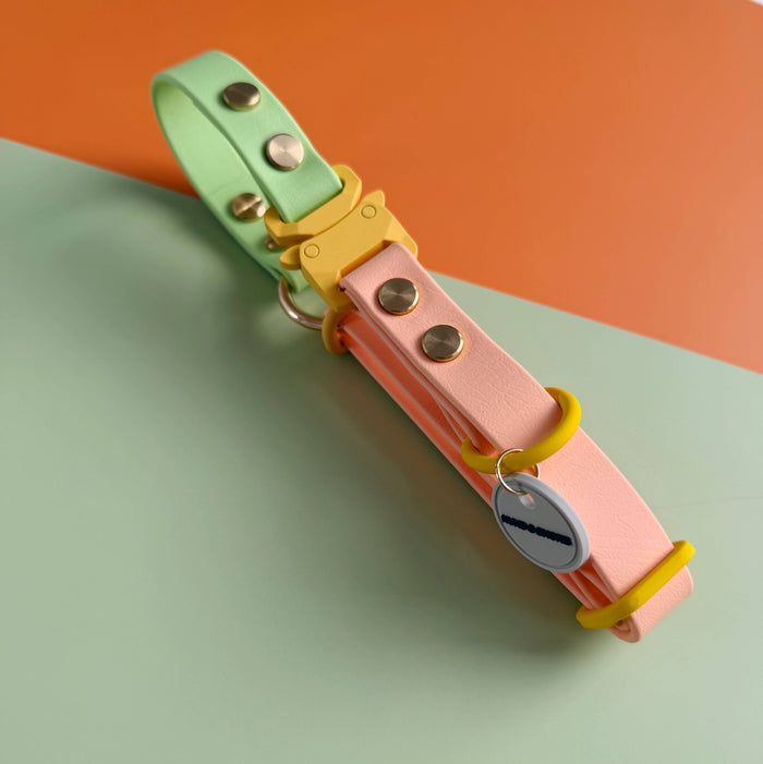 BIOTHANE® WATERPROOF DOG COLLAR - FLORA - GARDEN BOUND