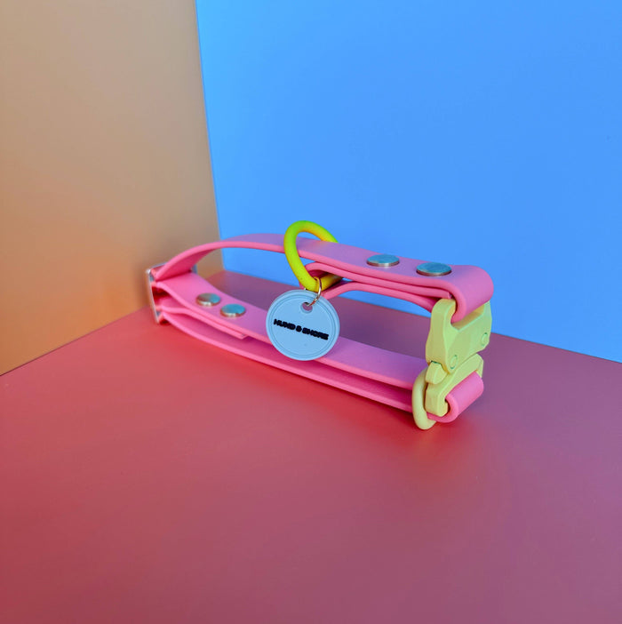 WATERPROOF DOG COLLAR - FLORA - HIBISCUS SUNSHINE