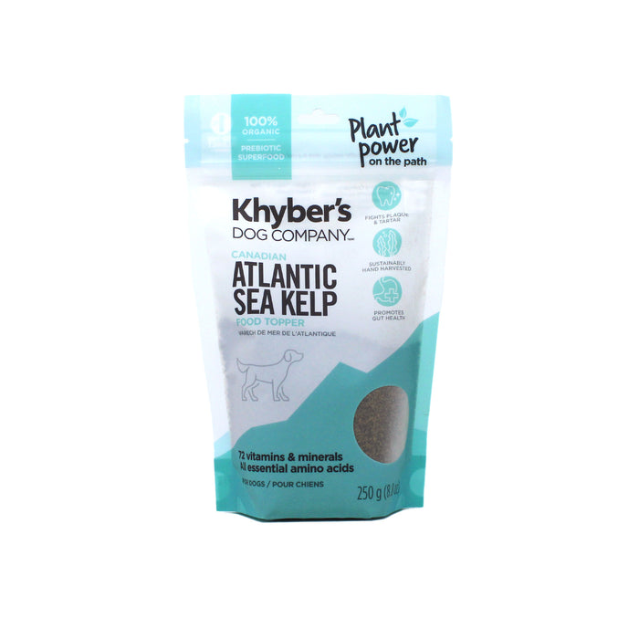 Atlantic Sea Kelp